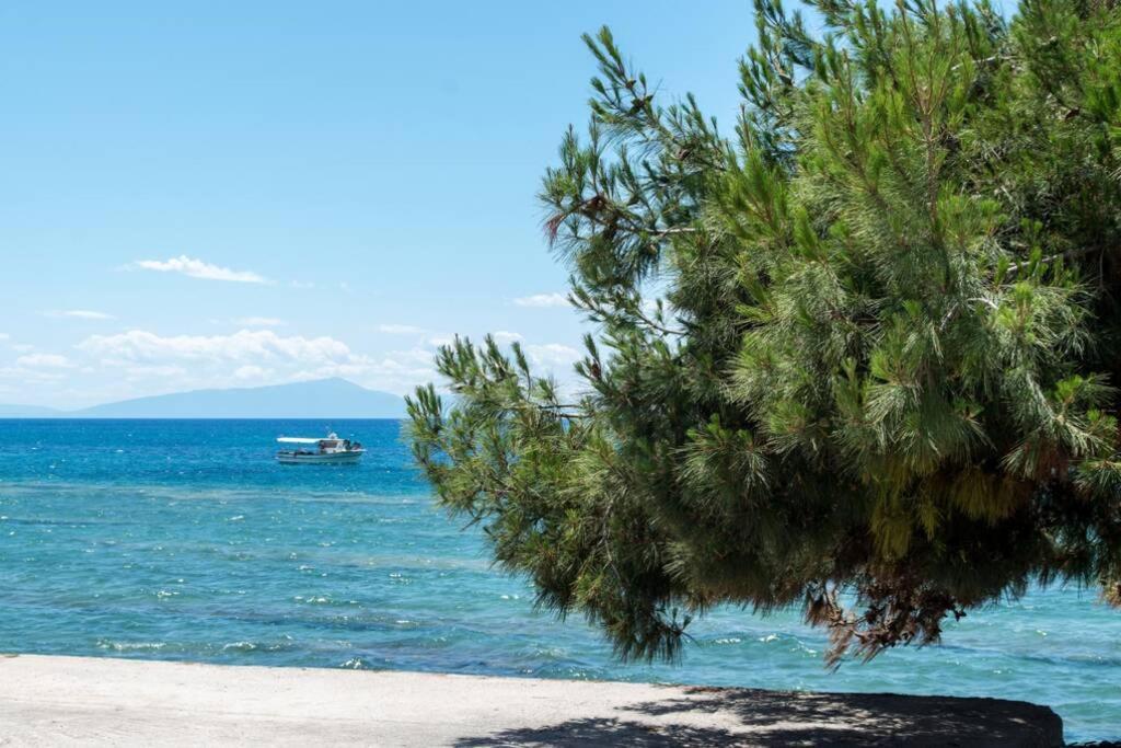 Endless Sea View House Villa Nea Irakleia Exterior photo